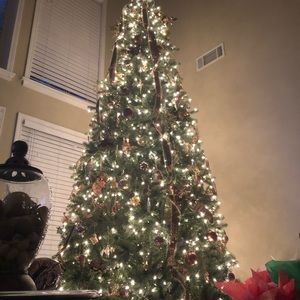 Meet your Posher, Bradley